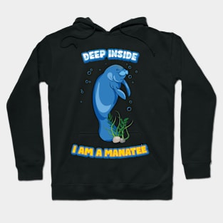 Manatee Manatee Manti Floaty Potatoes Hoodie